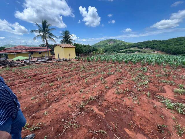#3 - Chácara para Venda em Guanambi - BA