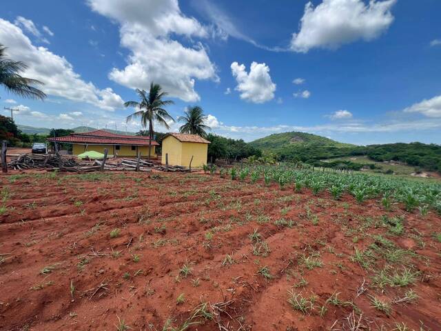 Chácara para Venda em Guanambi - 4